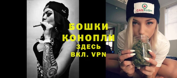 Альфа ПВП Верея