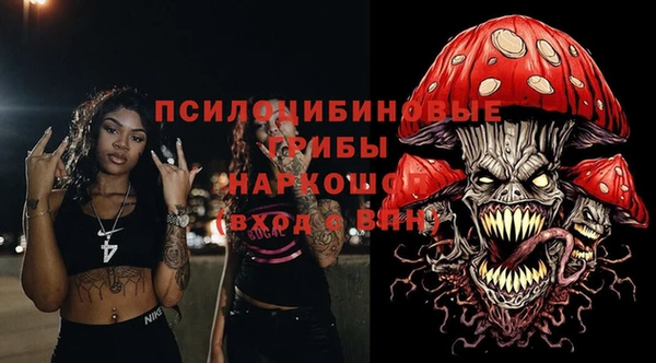 Альфа ПВП Верея