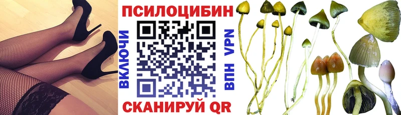 Галлюциногенные грибы мицелий  Брянск 